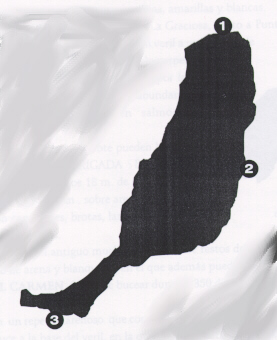 Fuerteventura